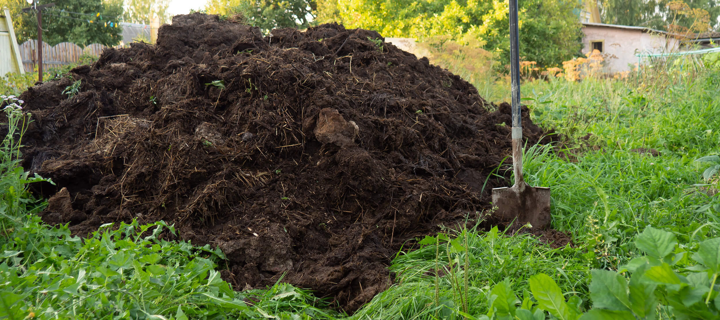 A pile of nutrient-rich composted soil.