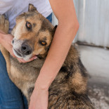 Pet Adoption Event